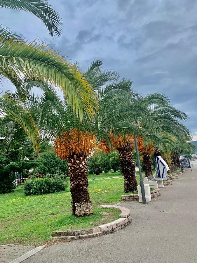 Apartman Ana Zeleni Pojas بار المظهر الخارجي الصورة