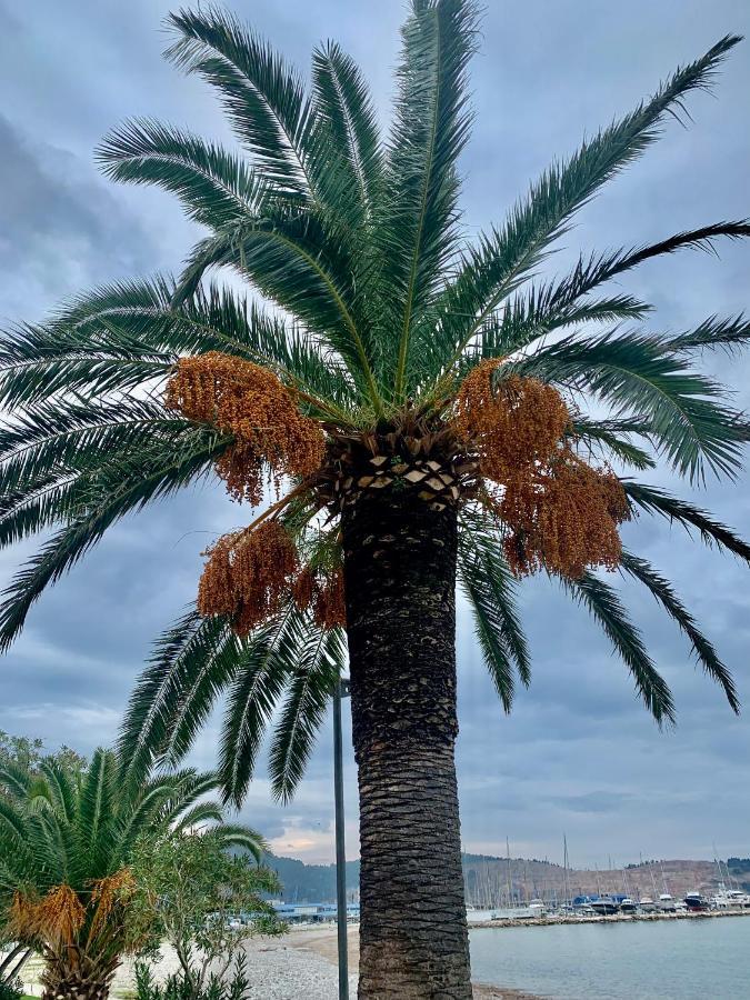 Apartman Ana Zeleni Pojas بار المظهر الخارجي الصورة